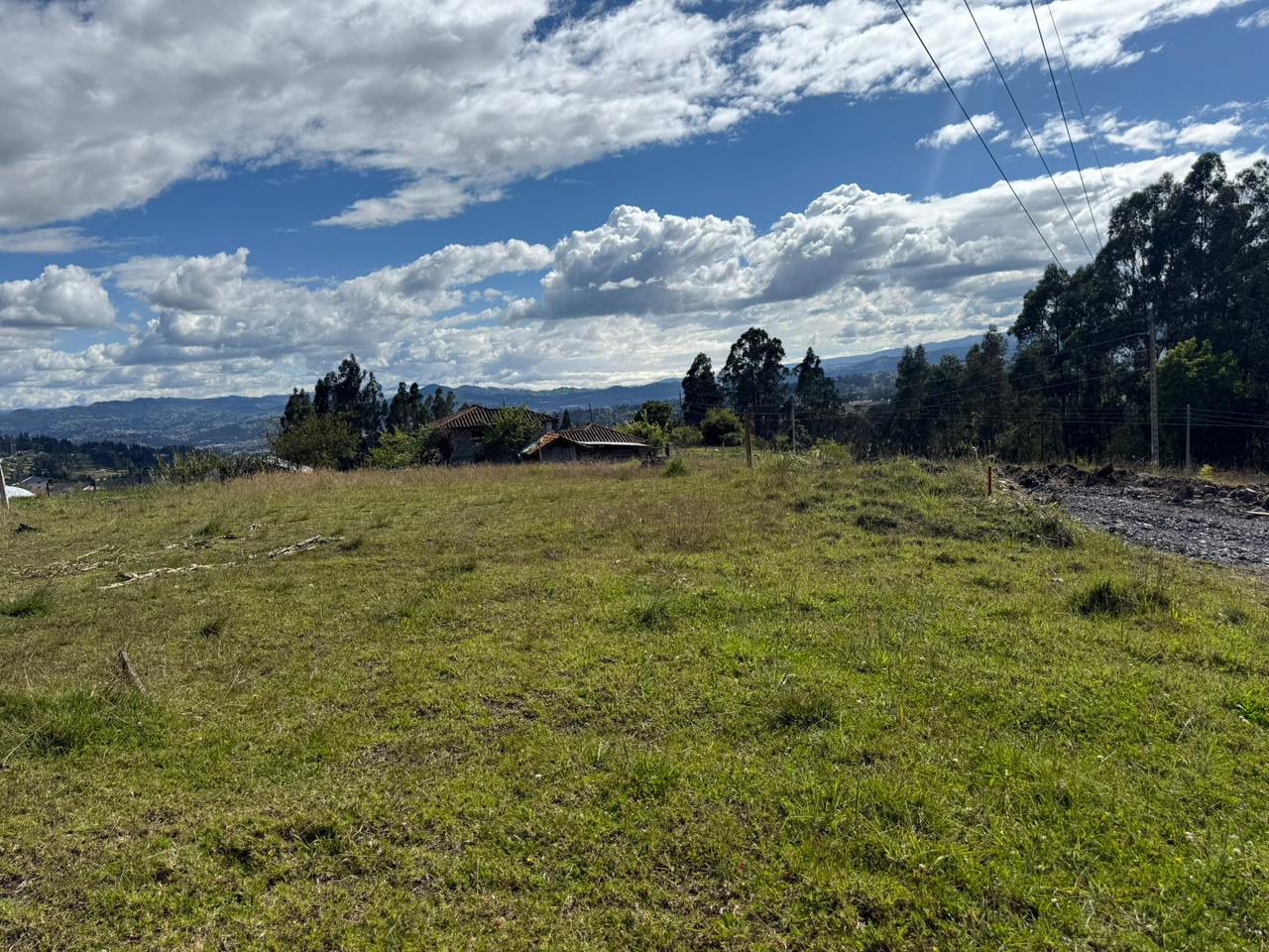 Ricaurte
